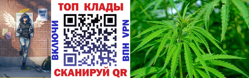 Виды наркотиков купить Шали Псилоцибиновые грибы  Амфетамин  ГАШ  Мефедрон  COCAIN 