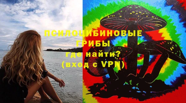 Альфа ПВП Лагань