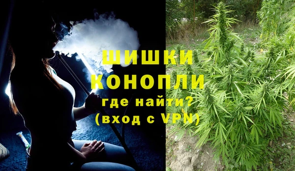 PSILOCYBIN Лабытнанги