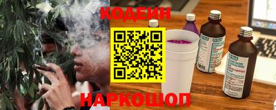 индика Камышлов