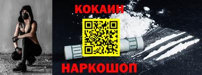 индика Камышлов