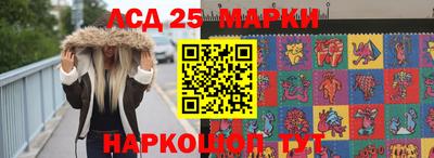 индика Камышлов