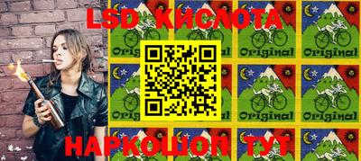 индика Камышлов