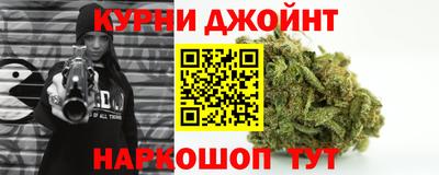 индика Камышлов