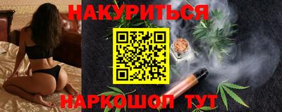 индика Камышлов