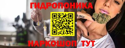 индика Камышлов
