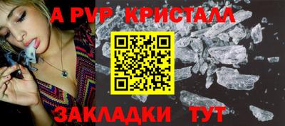индика Камышлов