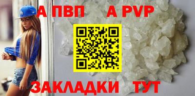индика Камышлов