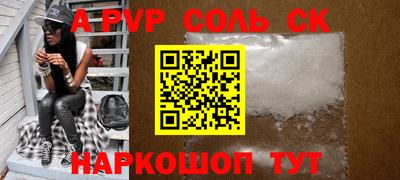 индика Камышлов