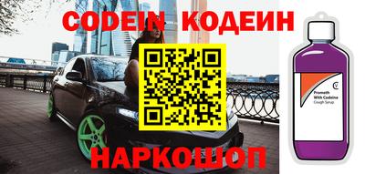 индика Камышлов