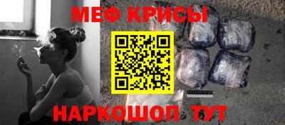 индика Камышлов