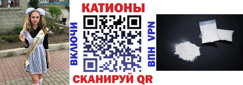 МЯУ-МЯУ мяу мяу  где найти   Шали 