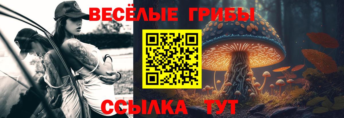 Галлюциногенные грибы Magic Shrooms  Вход с VPN  Шали  Псилоцибиновые грибы Psilocybine cubensis 