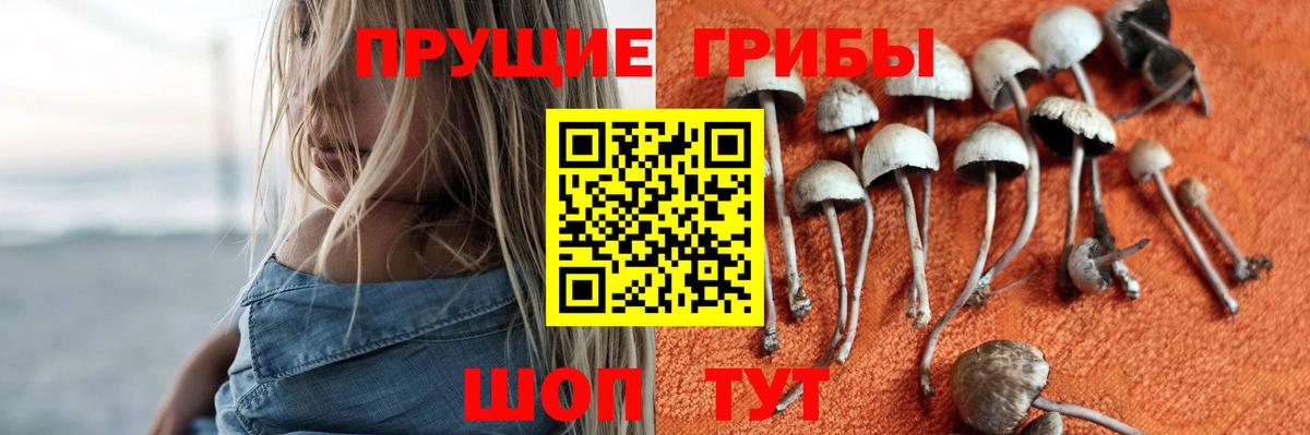 Галлюциногенные грибы MAGIC MUSHROOMS Шали
